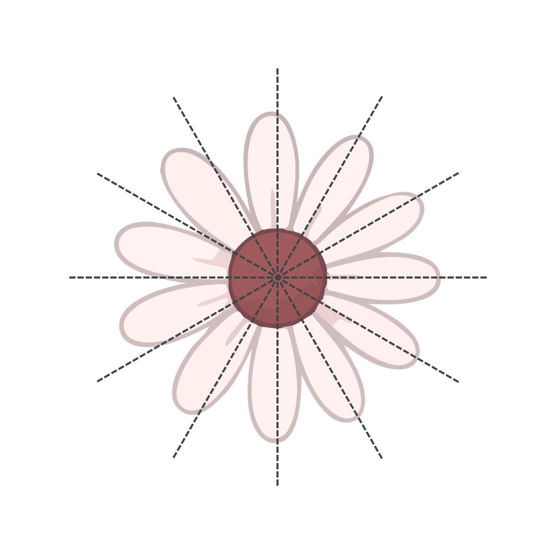 Pink daisy flower illustration demonstrating radial balance with dashed lines radiating from the center showing symmetrical balance around a central point