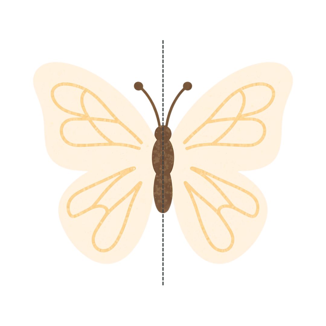 Cream and gold butterfly illustration demonstrating symmetrical balance with a dashed vertical line showing perfect mirror symmetry on both sides